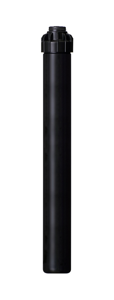 pgj-12_clipped.jpg